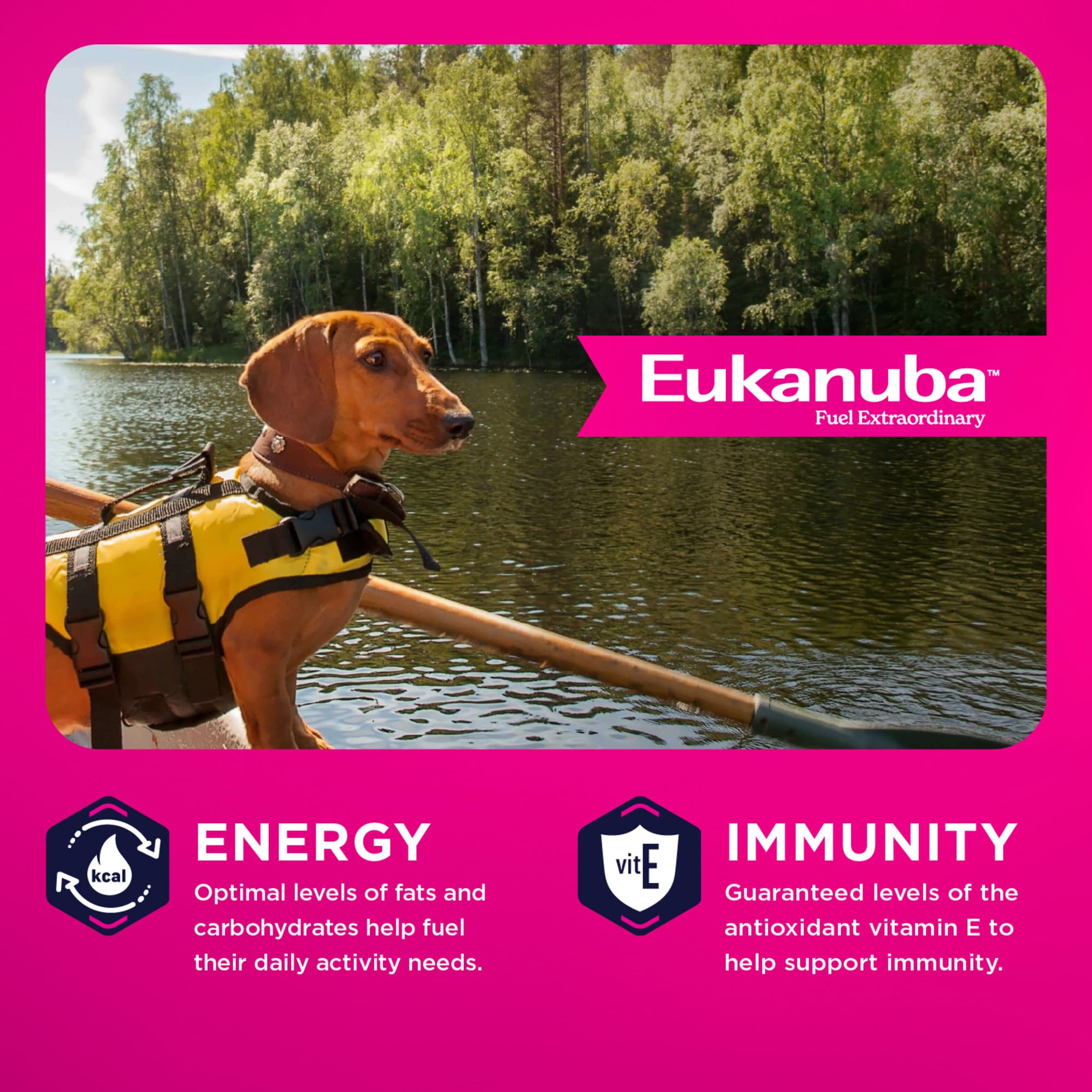 Eukanuba natural fiber and prebiotics ingredients supporting digestion