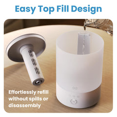 Everlasting Comfort night light display creating calm bedside ambiance