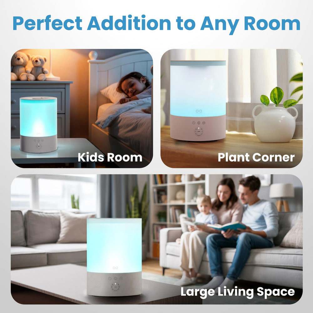Everlasting Comfort size comparison showing scale and room placement
