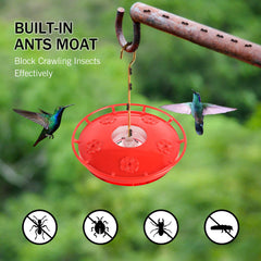eWonLife feeding ports and 360-degree perch showing multiple birds feeding comfortably