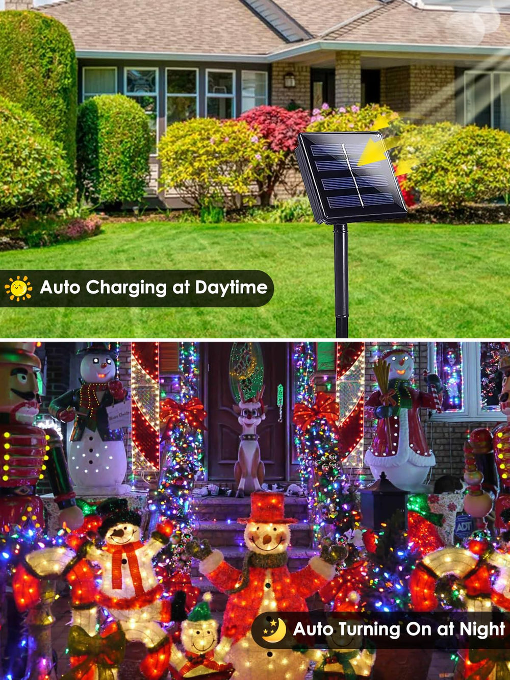 EXF solar panel mounted in garden soaking sunlight for reliable charging
