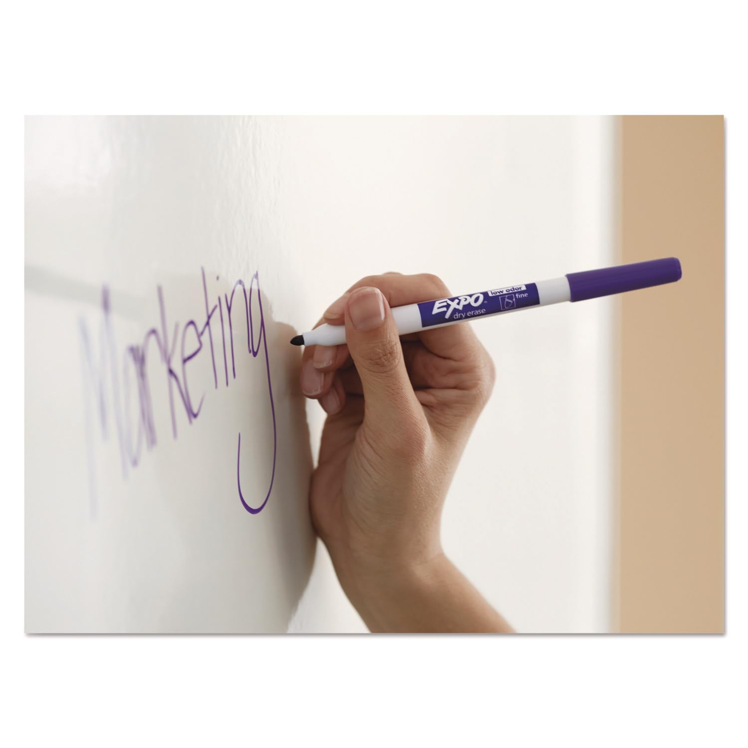 EXPO fine tip close-up highlighting precise nib for detailed writing