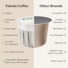 Fabula pod close-up of paper texture highlighting compostable materials