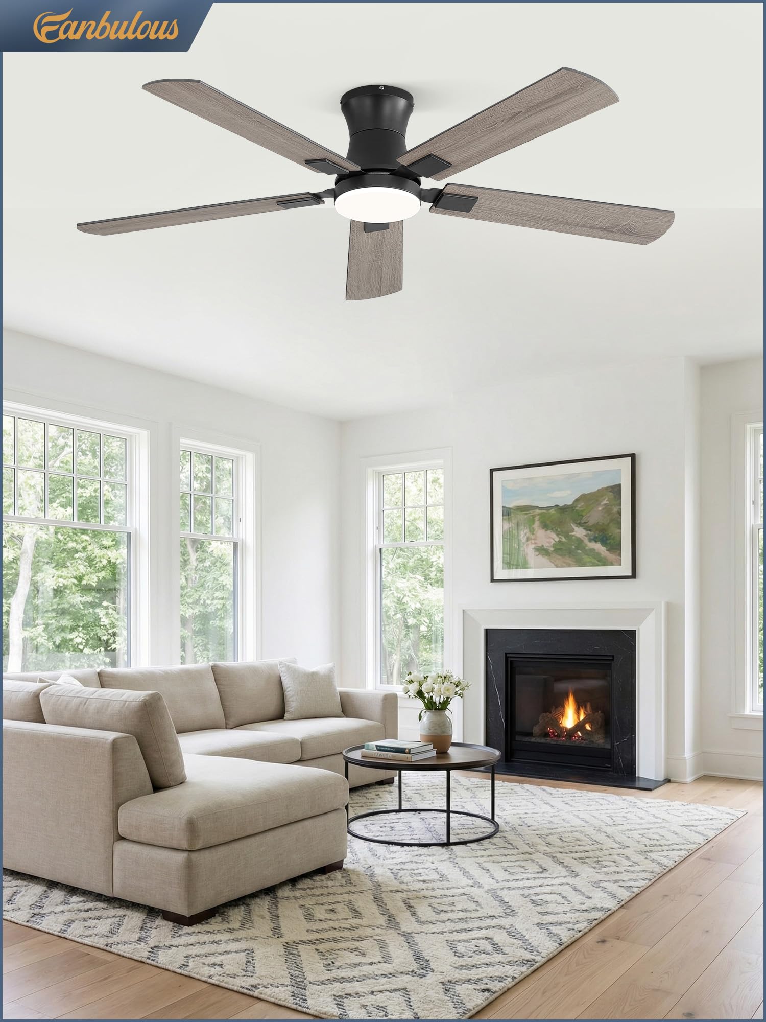 Fanbulous motor and hardware layout, highlights easy installation and reliable mounting components