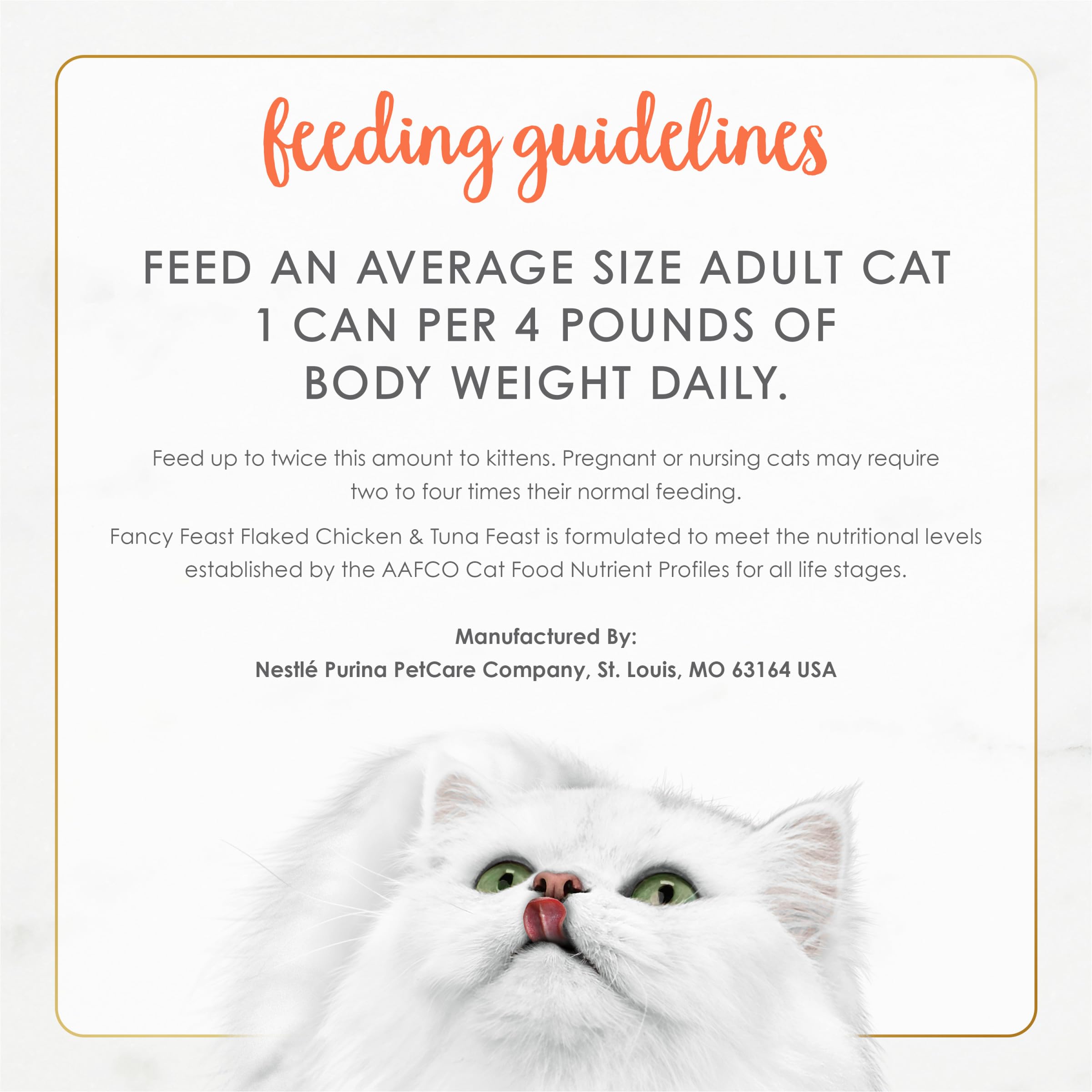 Fancy Feast cat eating from dish illustrating high palatability