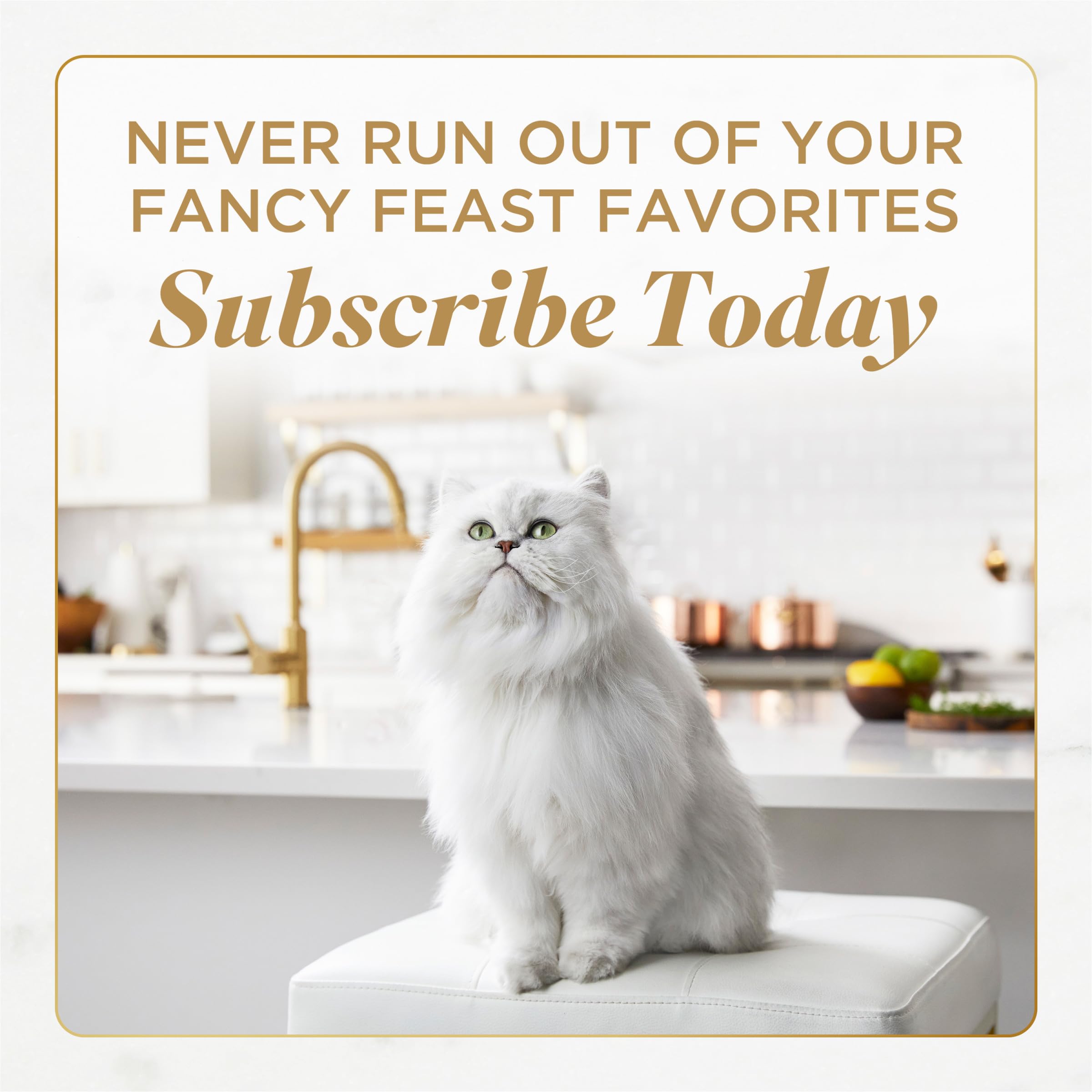 Fancy Feast cat enjoying meal to show palatability and engagement