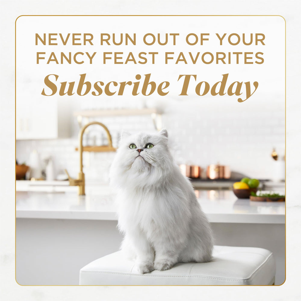 Fancy Feast cat enjoying meal to show palatability and engagement