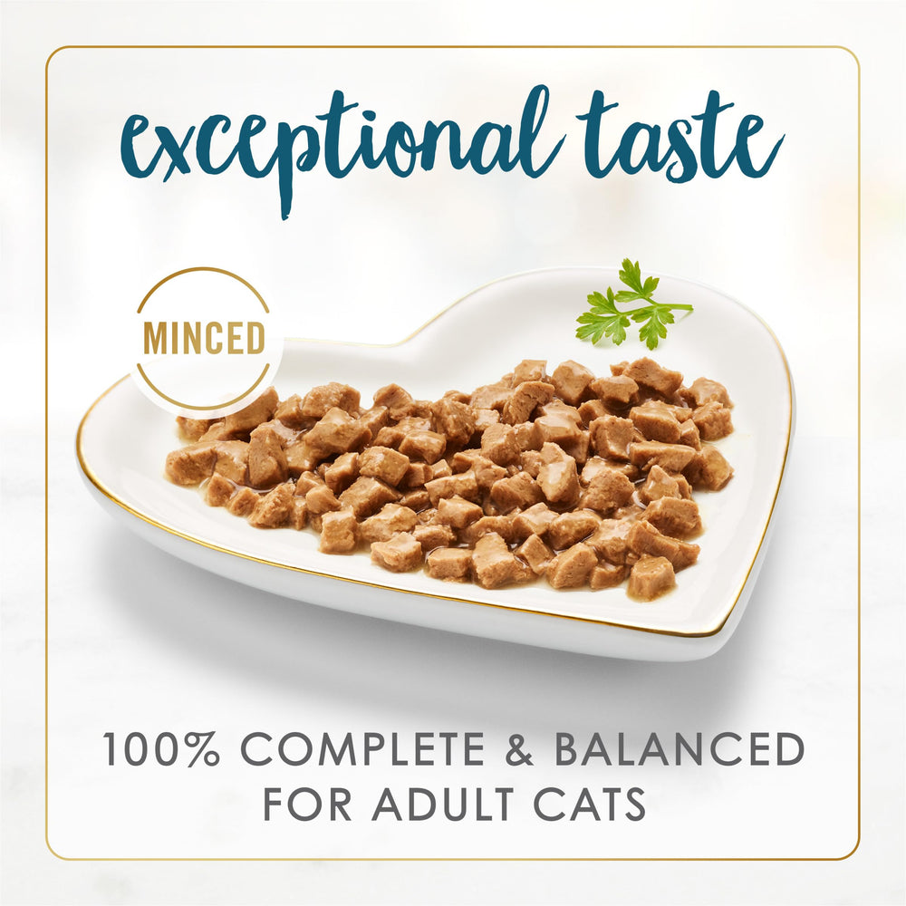 Fancy Feast rich gravy close-up highlighting moisture and appetite appeal