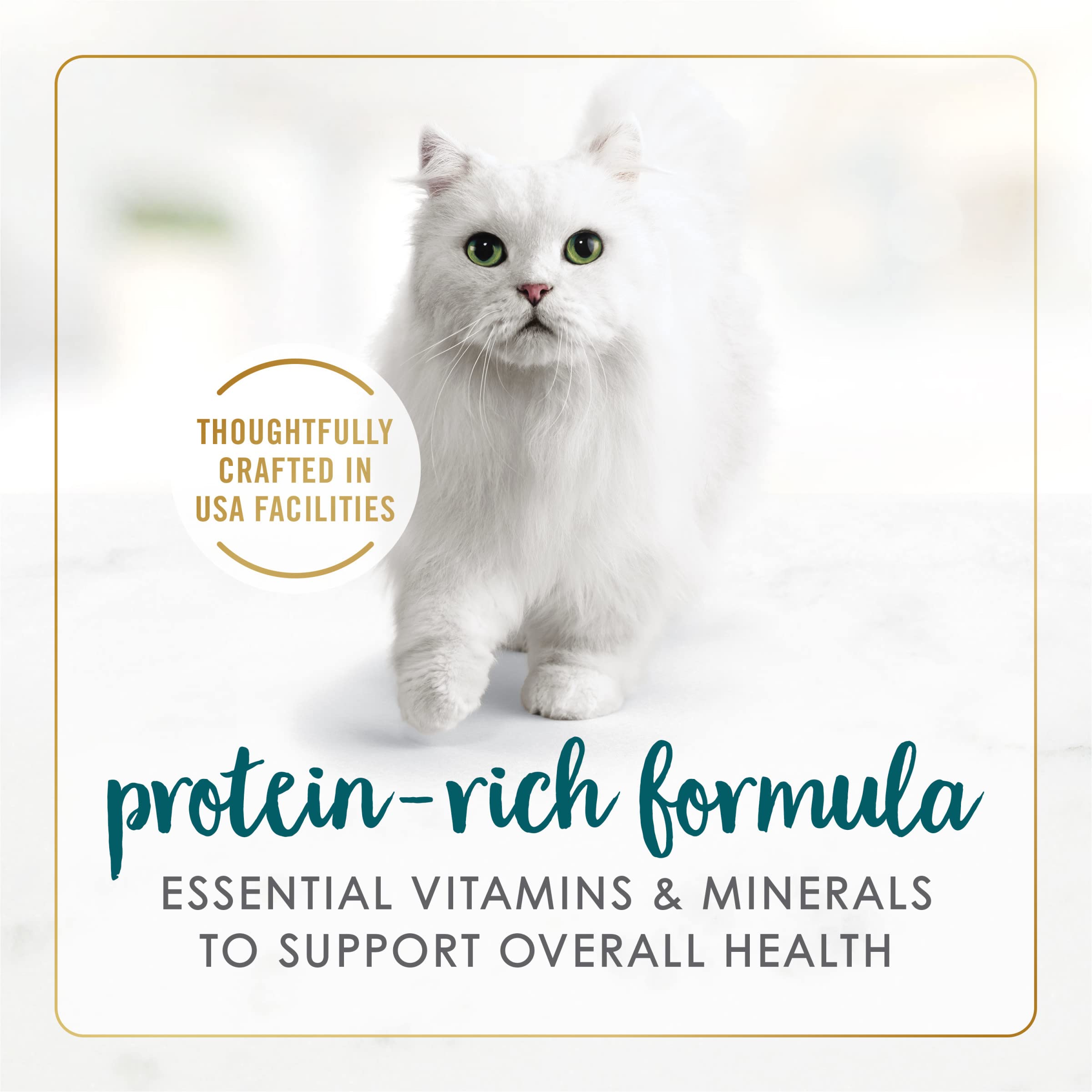 Fancy Feast bowl with spoon showing portion size convenience