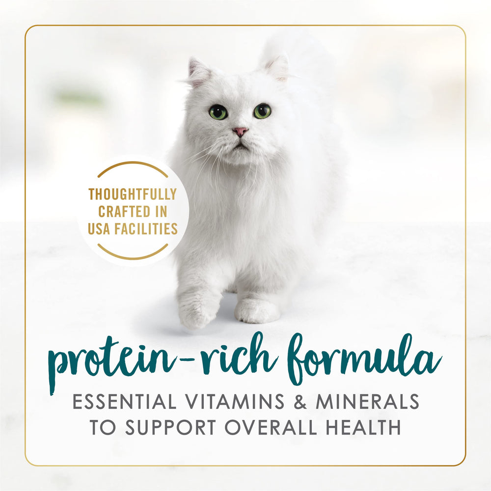 Fancy Feast bowl with spoon showing portion size convenience