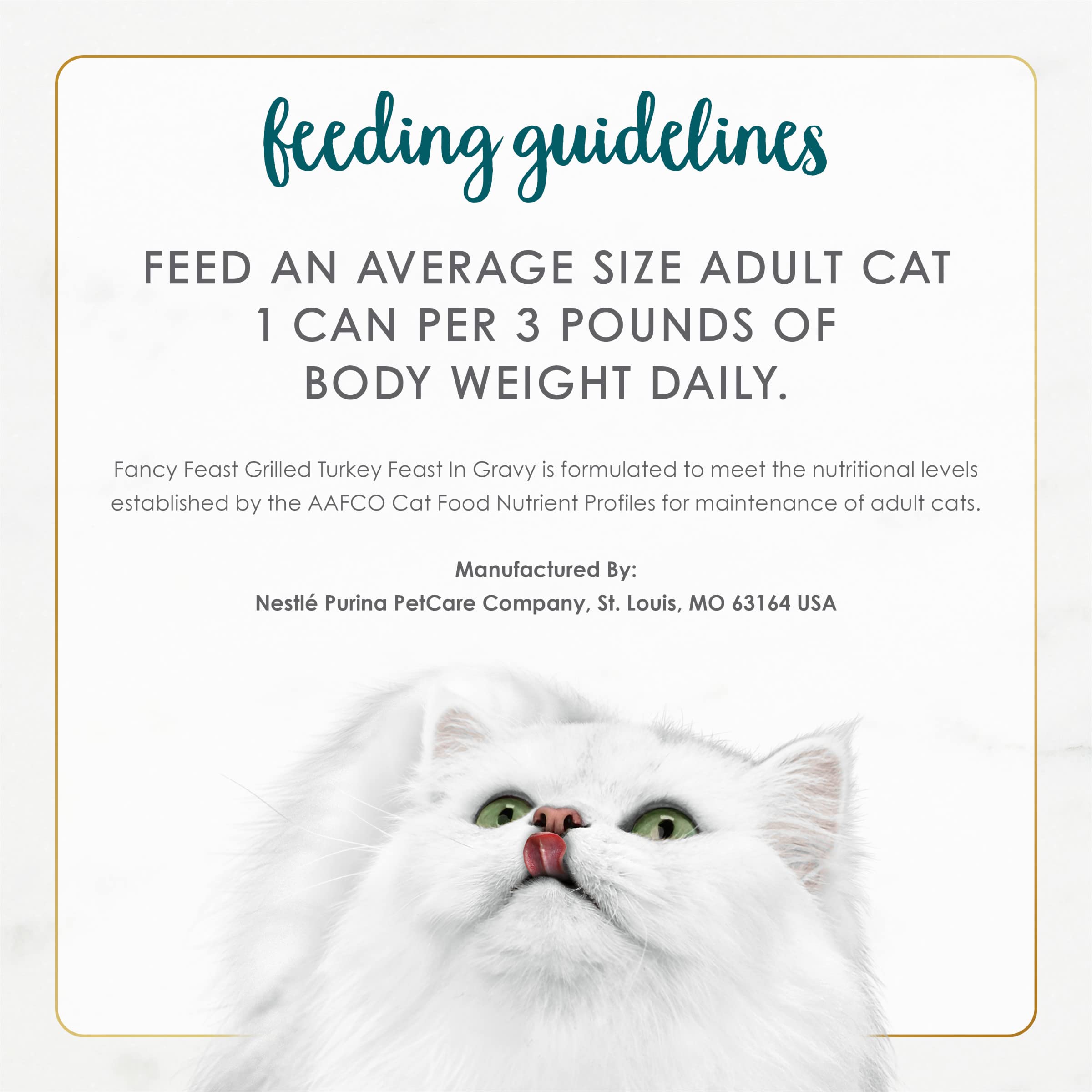 Fancy Feast cat eating from bowl demonstrating high palatability