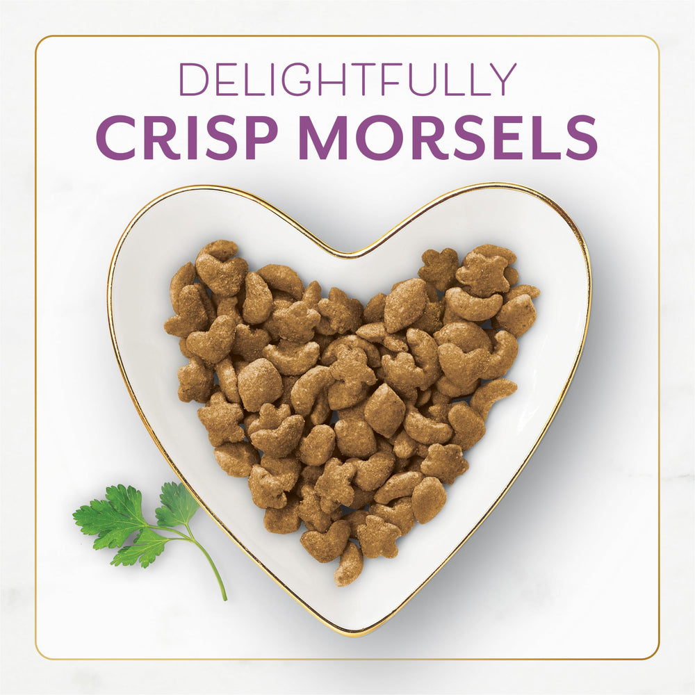 Fancy Feast kibble close-up showing crunchy morsels and appealing poultry blend