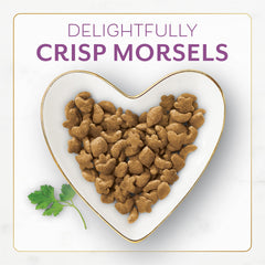 Fancy Feast kibble close-up showing crunchy morsels and appealing poultry blend
