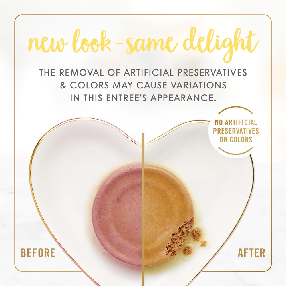 Fancy Feast opened can revealing smooth pâté for easy kitten eating
