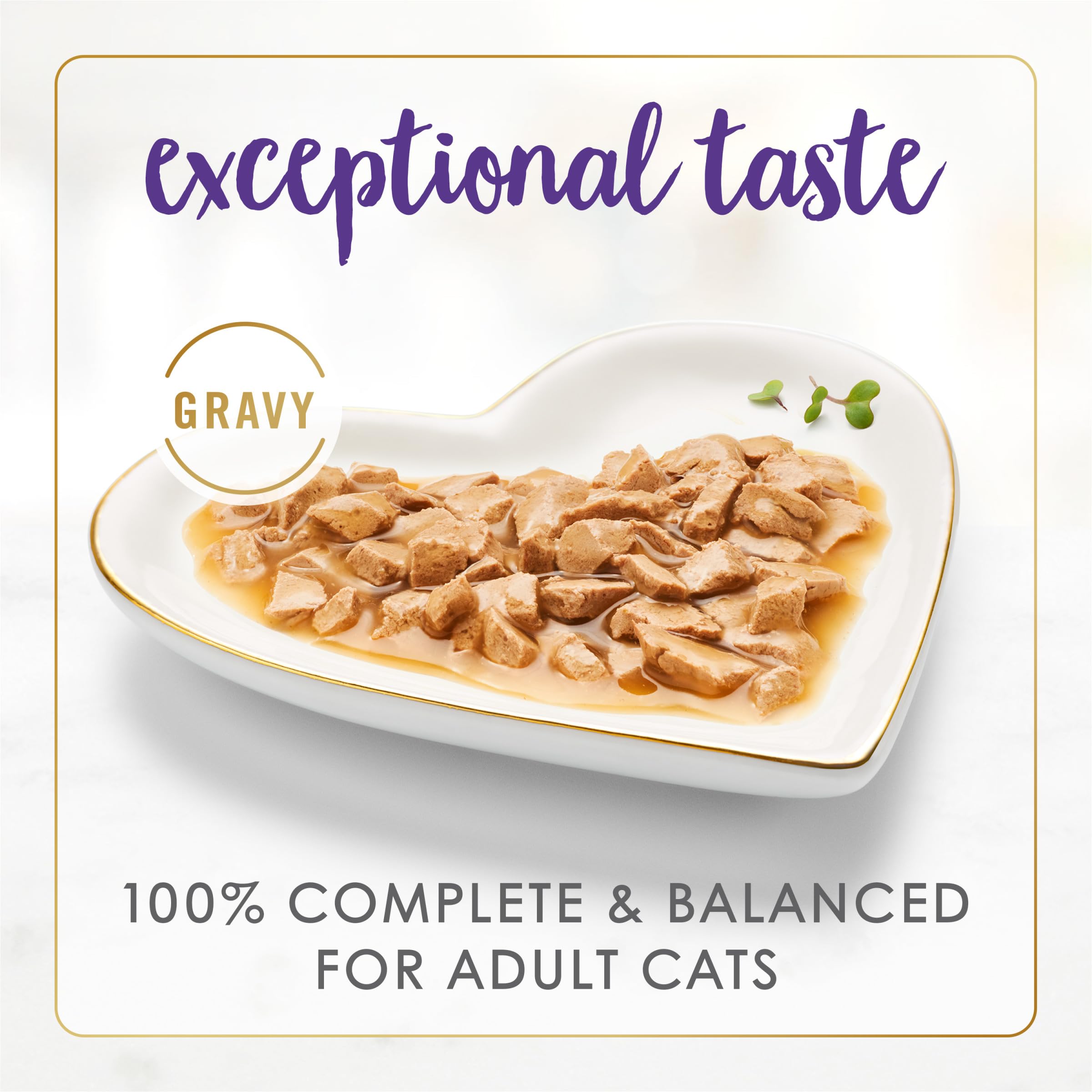 Fancy Feast open can close-up of gravy highlighting appetizing texture