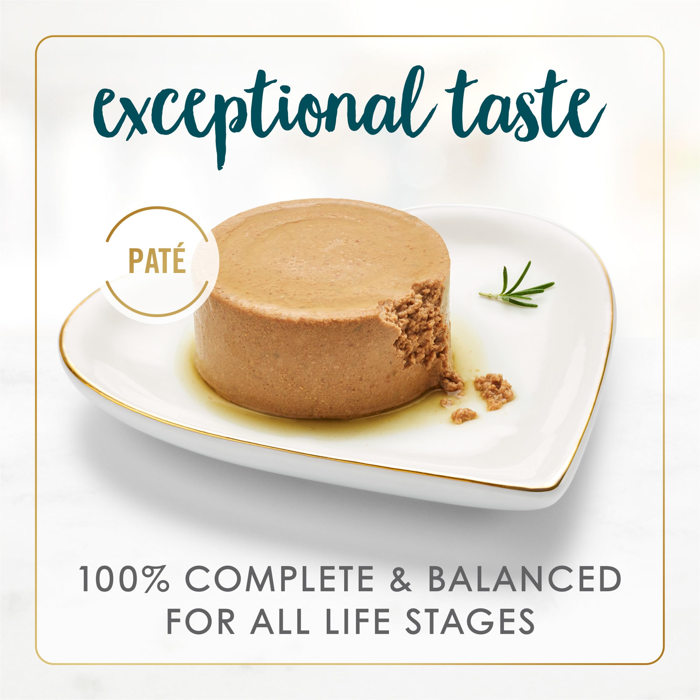 Fancy Feast open can showing smooth pate texture, easy-eat consistency for cats