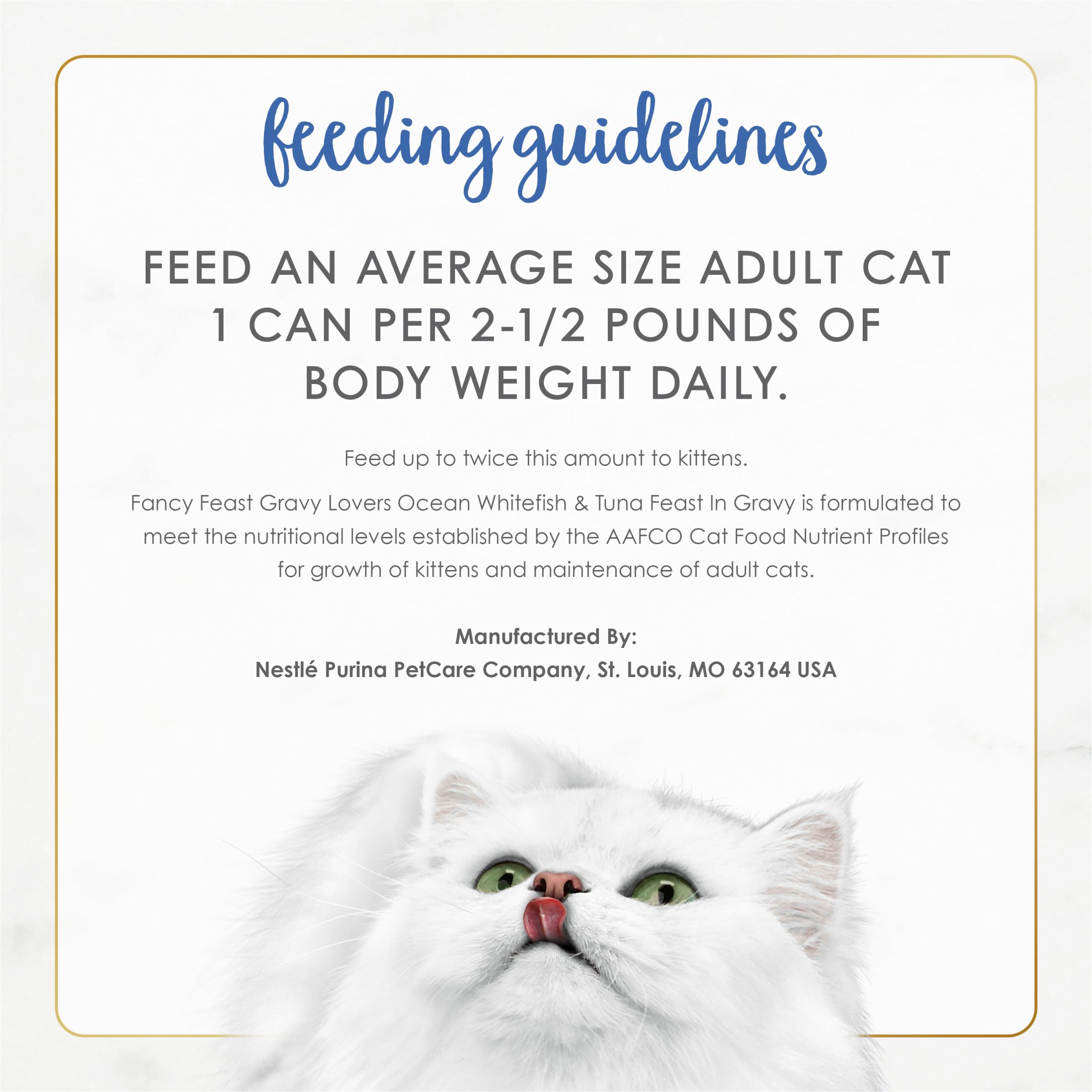 Fancy Feast can next to ruler for size comparison, aids portioning decisions