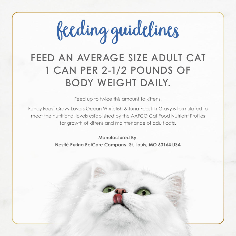 Fancy Feast can next to ruler for size comparison, aids portioning decisions