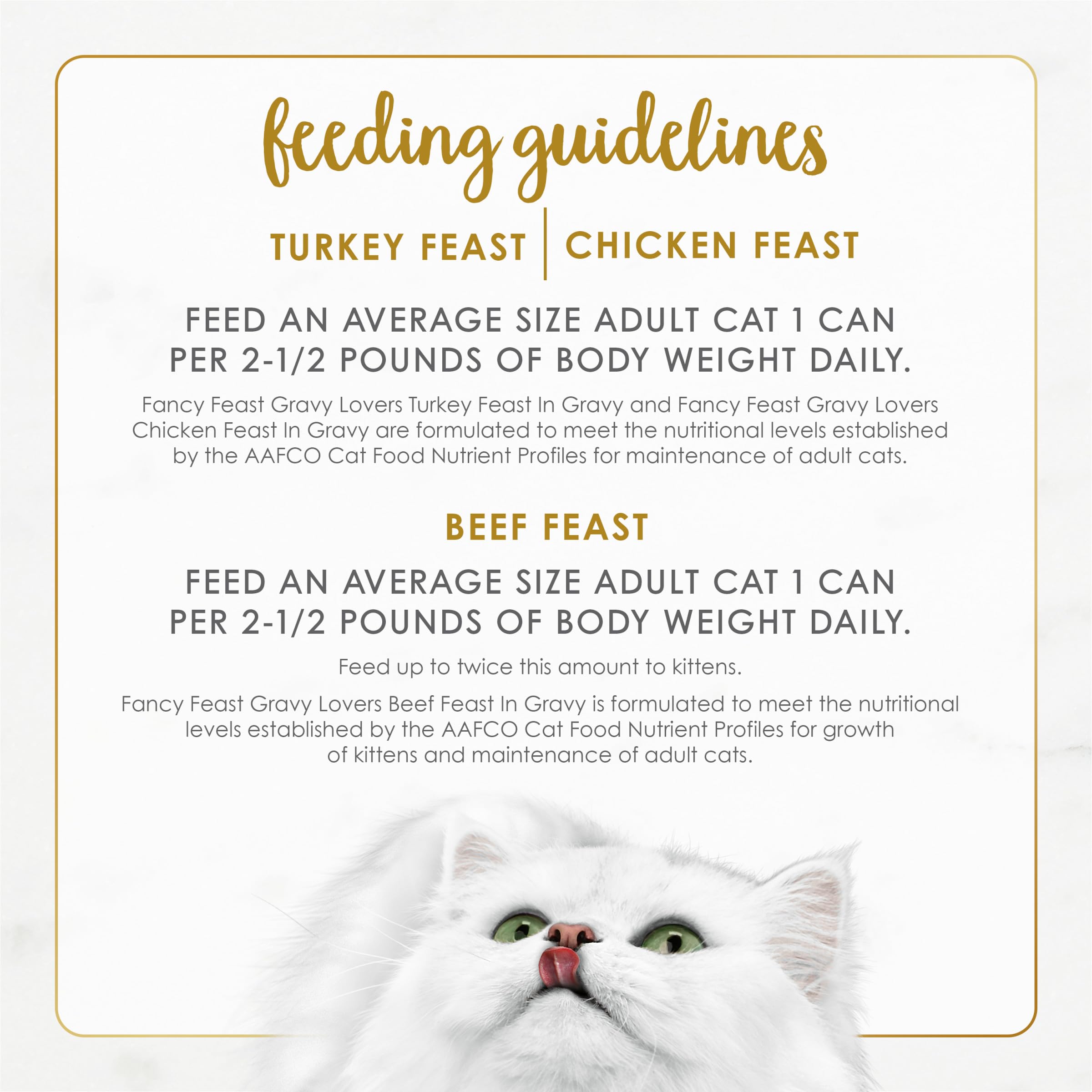 Fancy Feast can held in hand for scale and single‑serve portion clarity