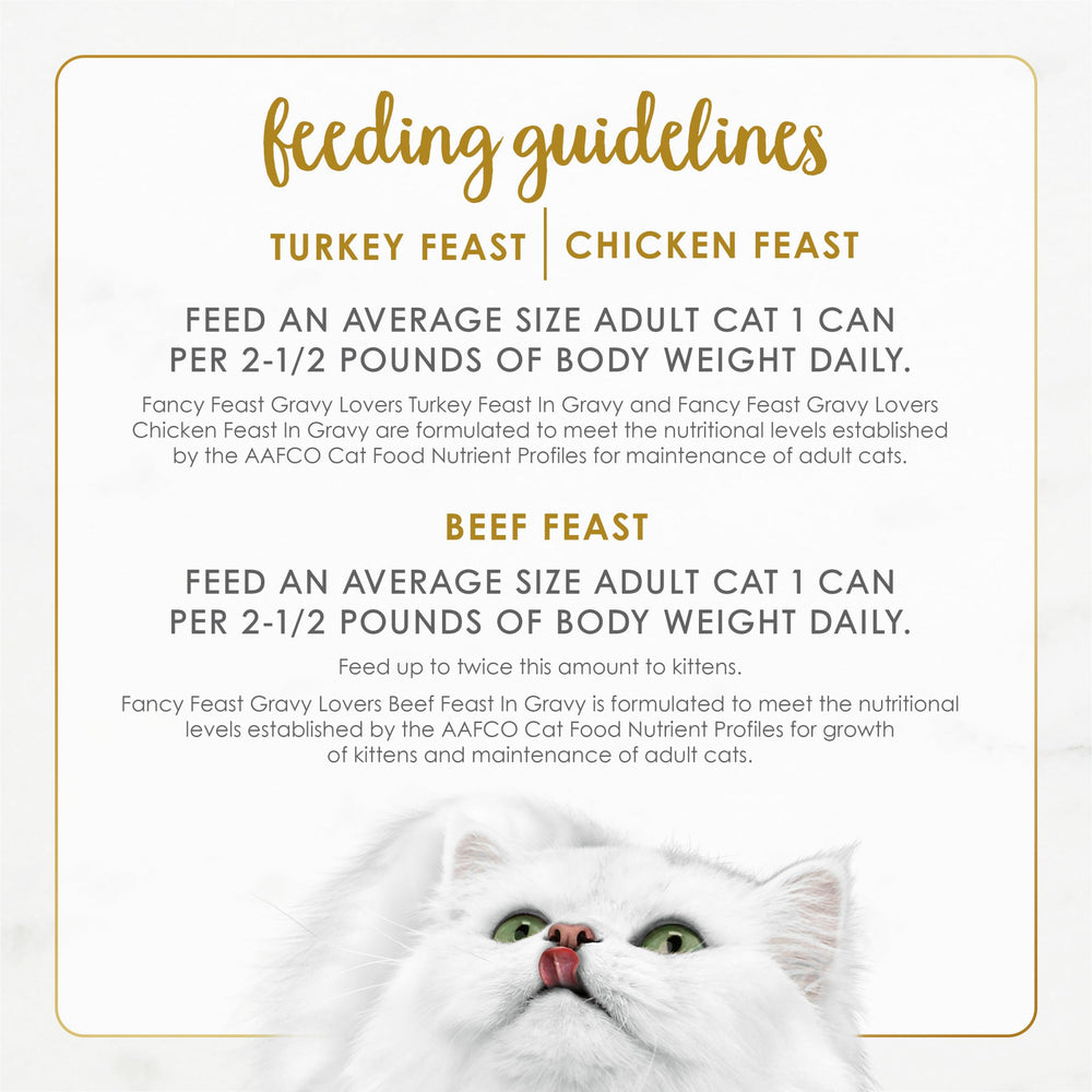 Fancy Feast can held in hand for scale and single‑serve portion clarity