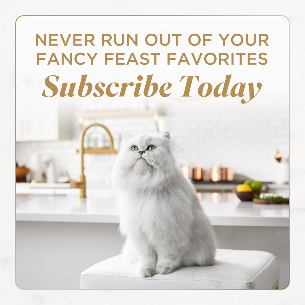 Fancy Feast stacked boxes in pantry showing bulk storage convenience