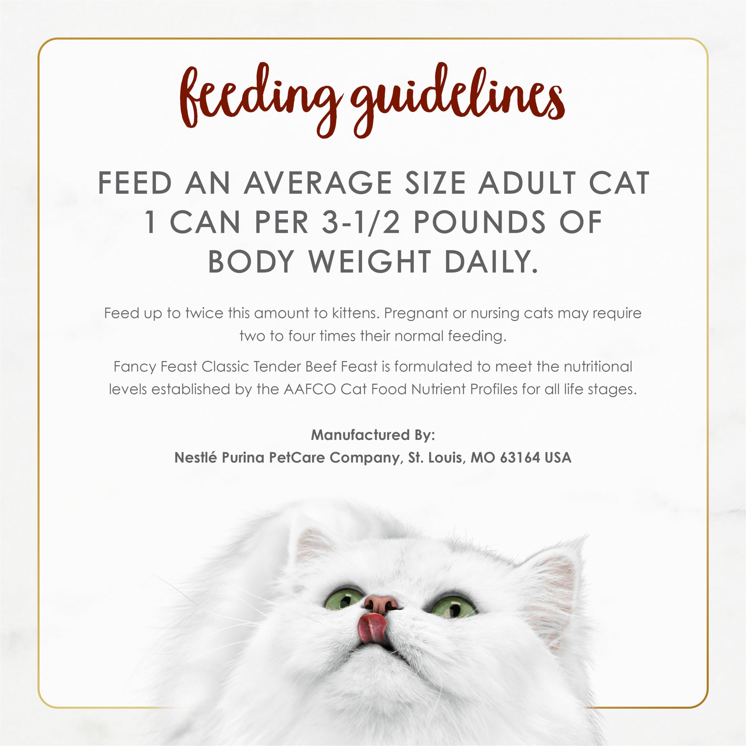 Cat enjoying Fancy Feast from bowl, brand showing enjoyment and acceptance benefit