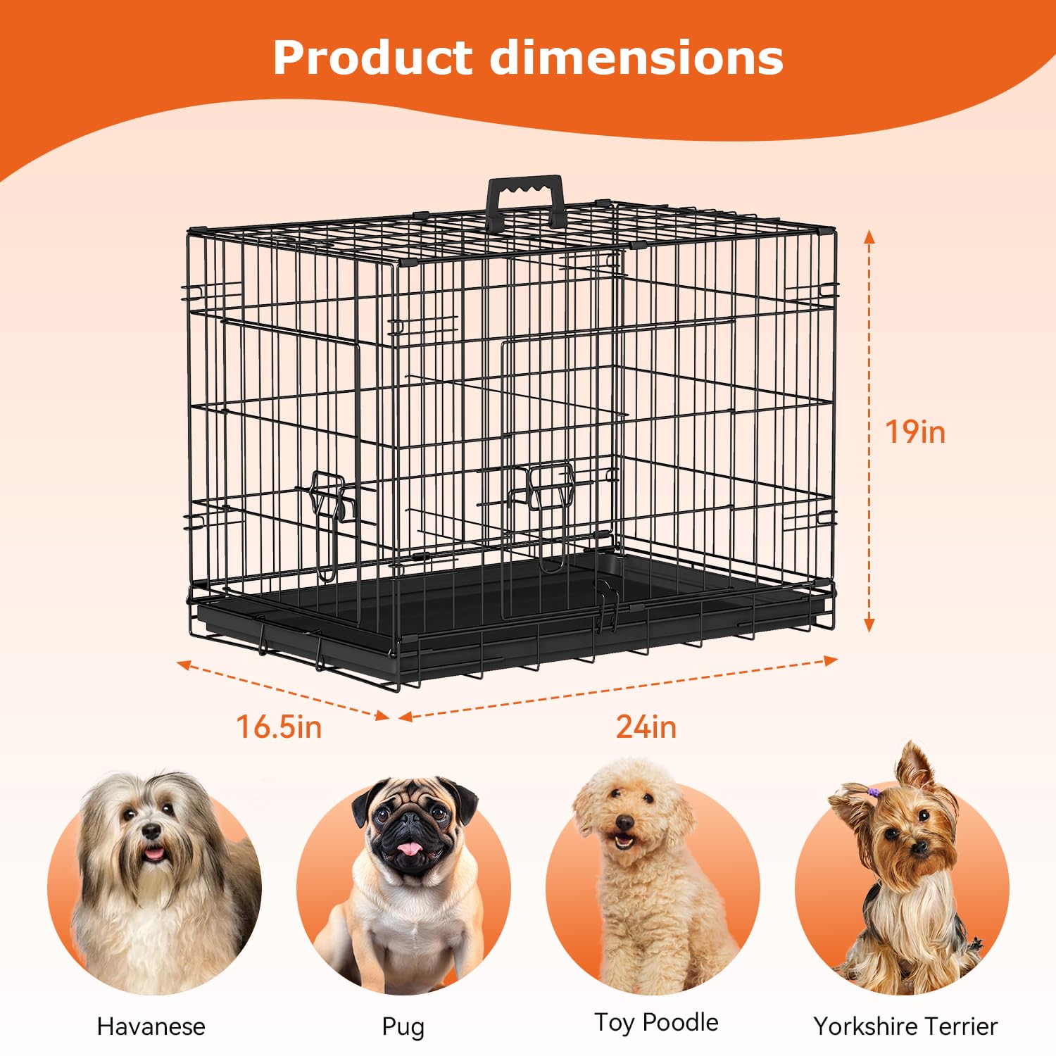 FDW crate with small dog for scale showing comfortable fit and visibility
