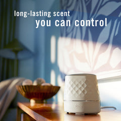 Febreze PLUG with two Downy Calm refills displayed to show included items