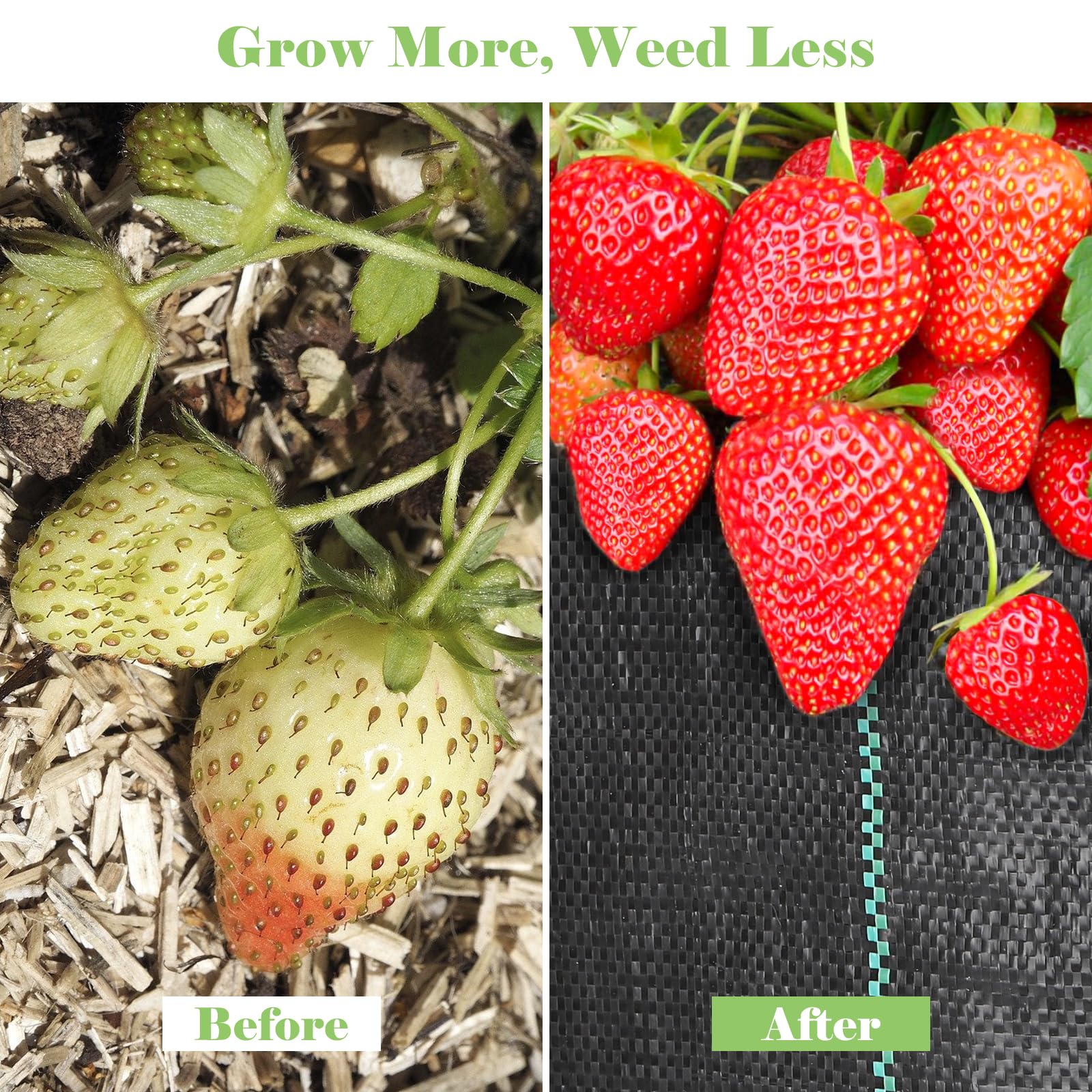 FEED GARDEN material label showing 3.2oz weight and product specification benefits