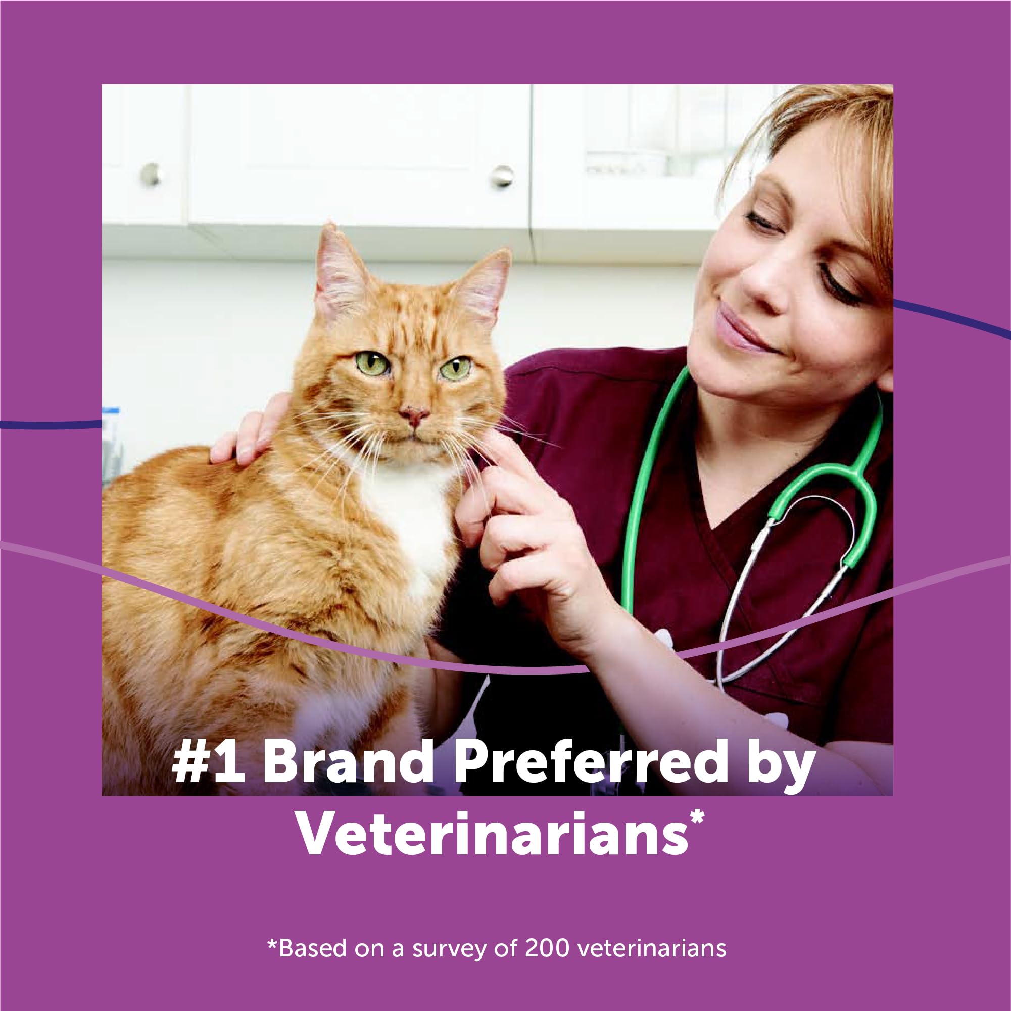 FELIWAY refill next to a hand showing compact size and convenience
