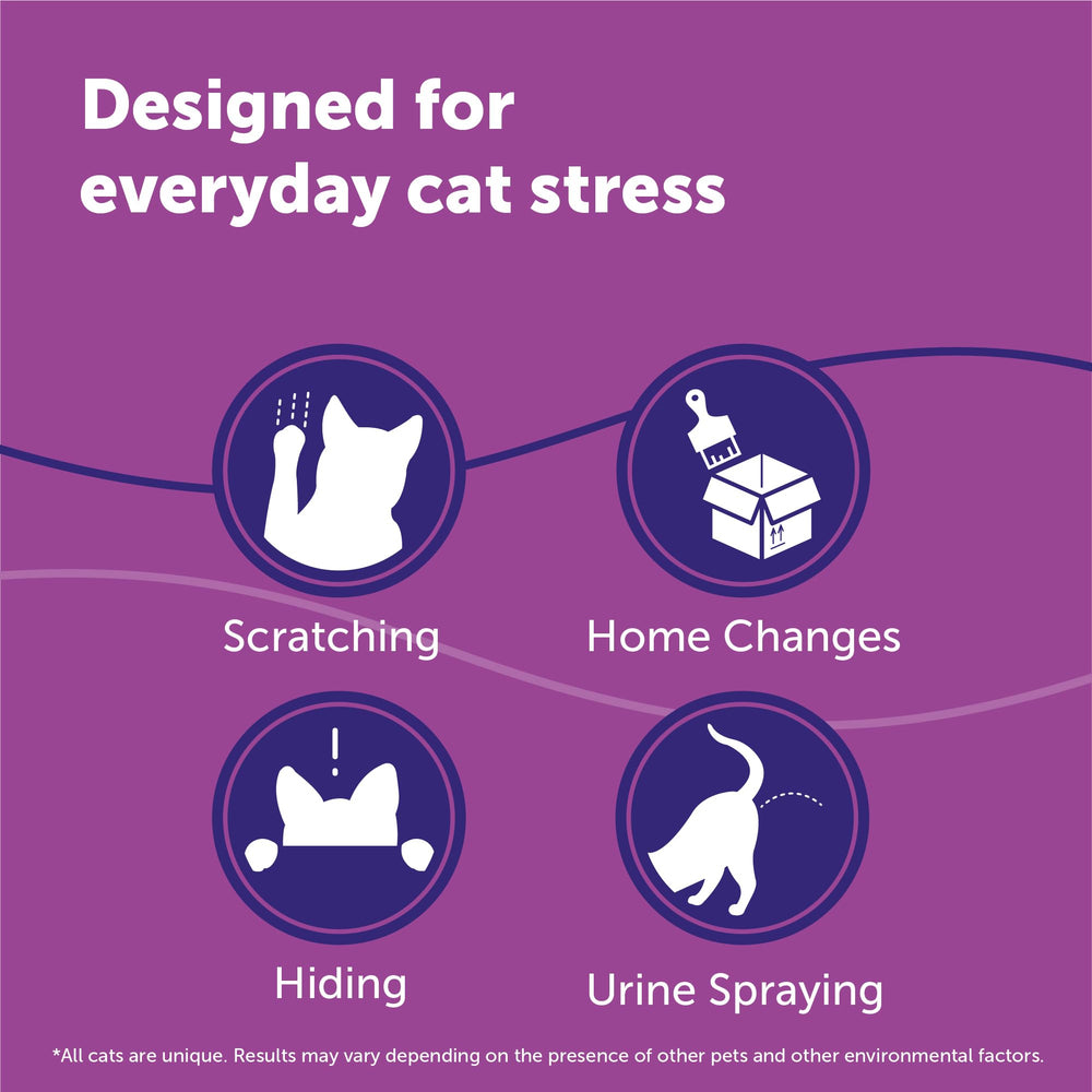 FELIWAY diffuser plugged in living room creating calm for cats