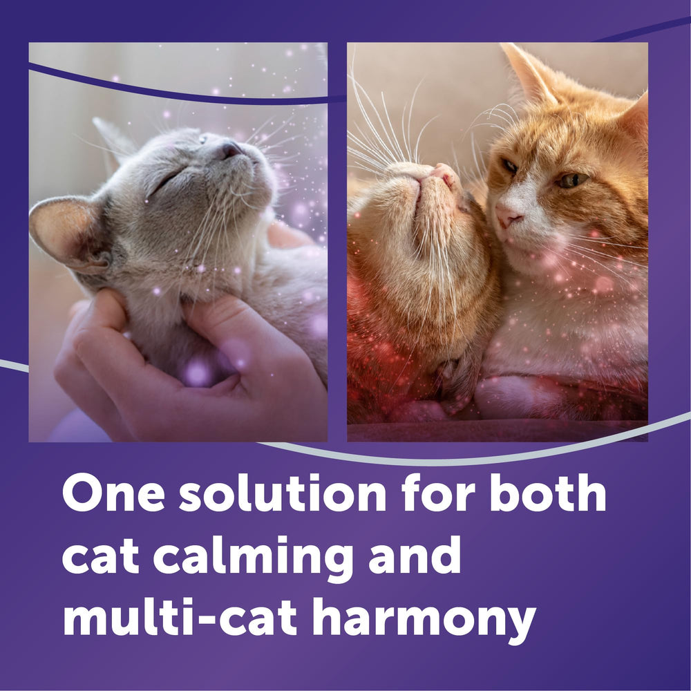 FELIWAY Optimum refill bottle close-up highlighting formula clarity and ease