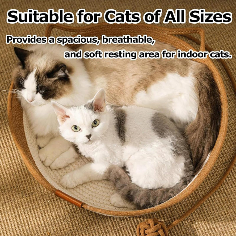 FHKPET view of cat-ear handles and dangling teaser ball for easy portability and play