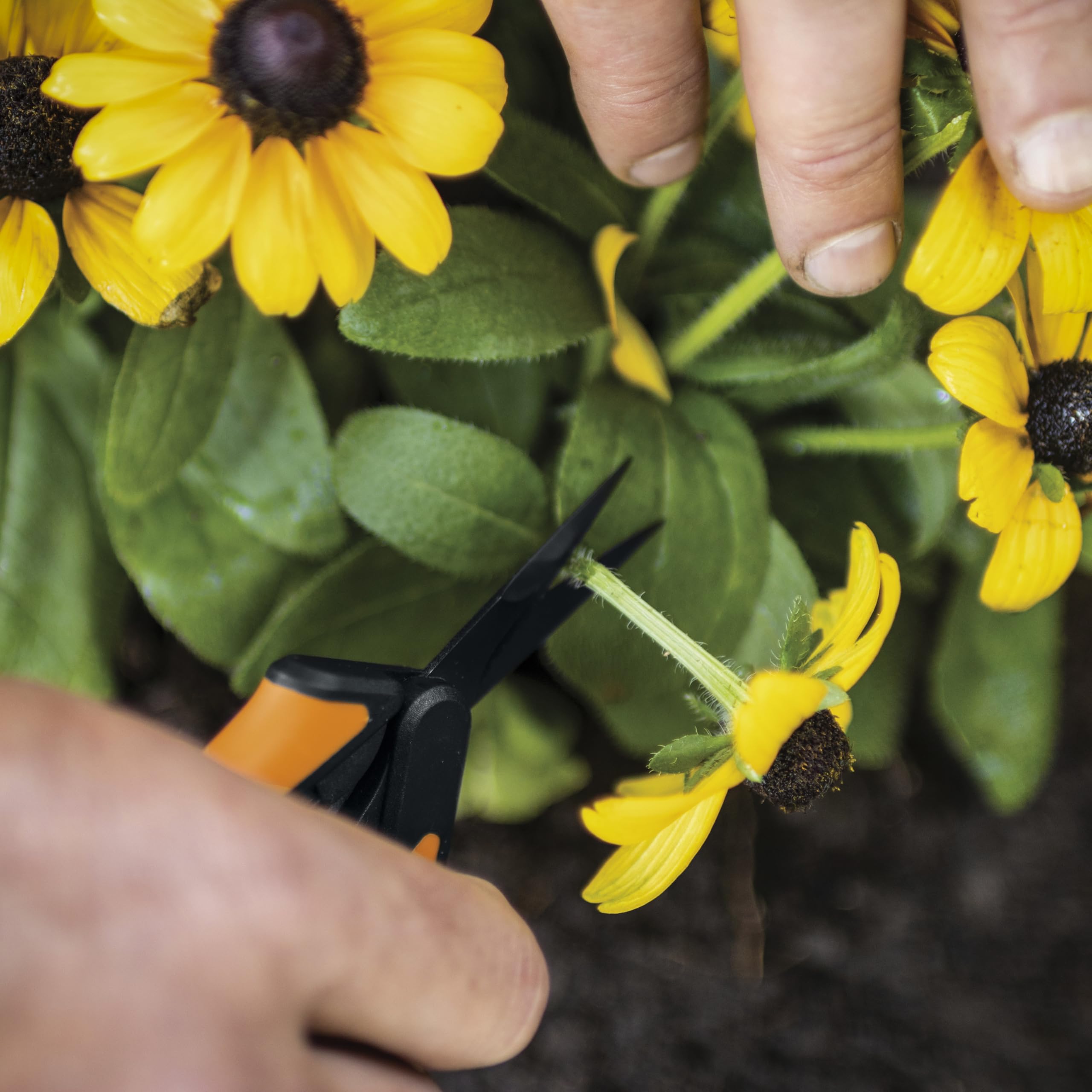 Fiskars two-pack displayed on garden bench for everyday gardening