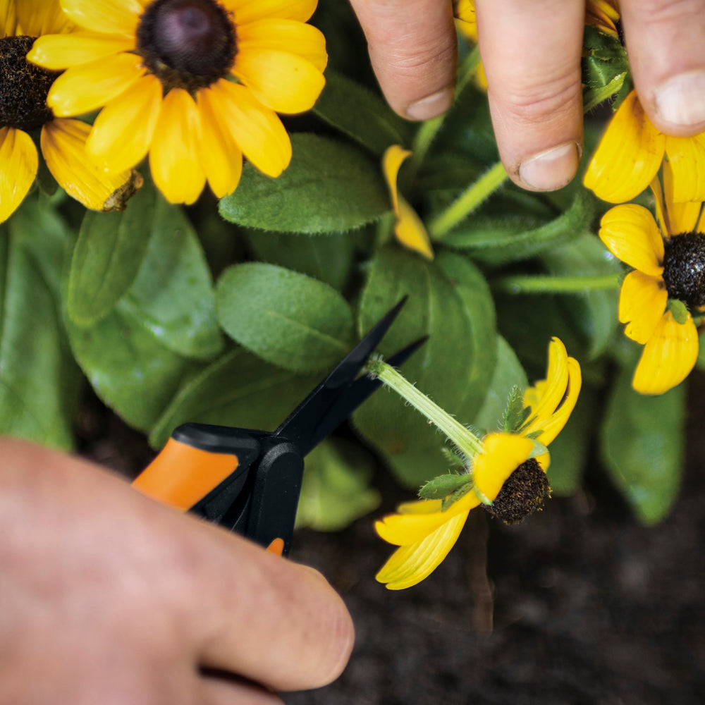 Fiskars two-pack displayed on garden bench for everyday gardening