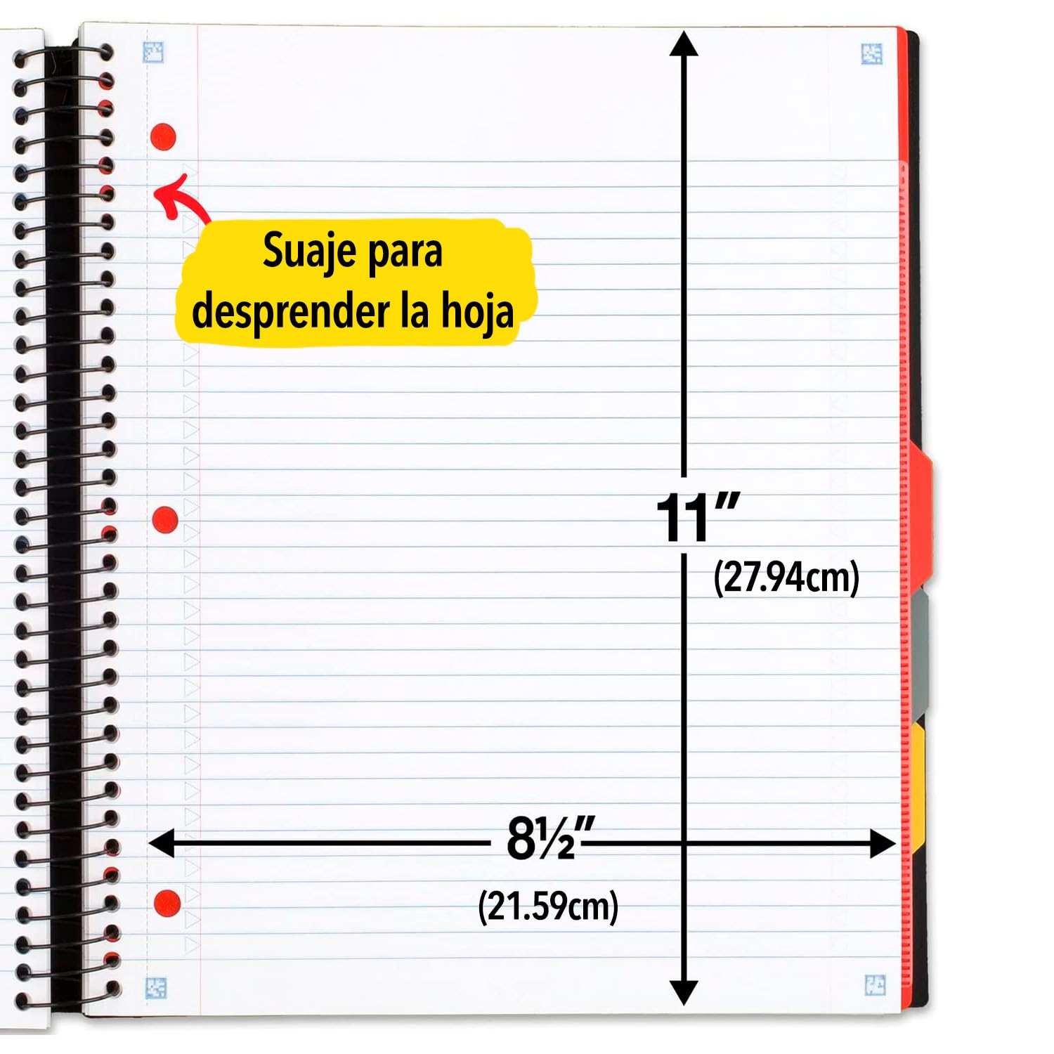 Five Star divider pocket holding 8.5x11 handouts for secure in-notebook storage