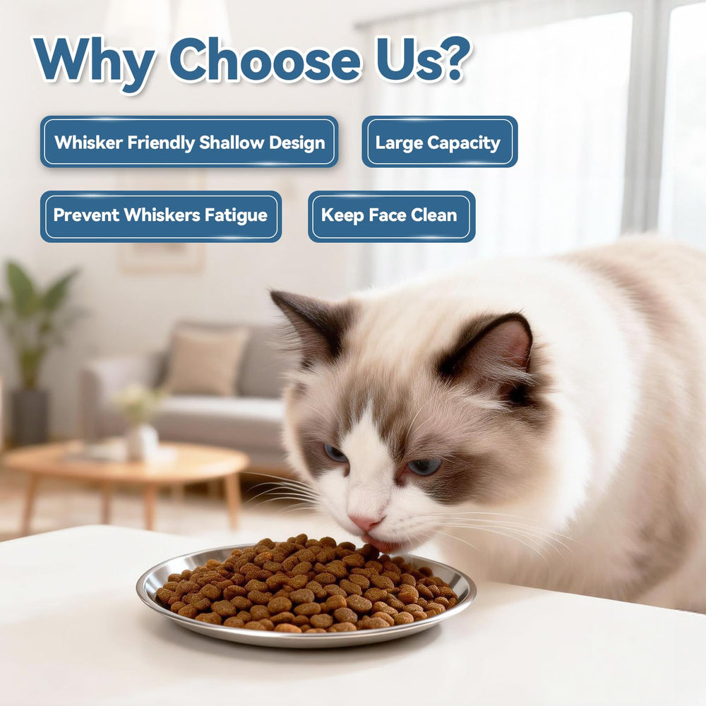 FlaggeZG two cats eating calmly from shallow bowls reducing whisker contact