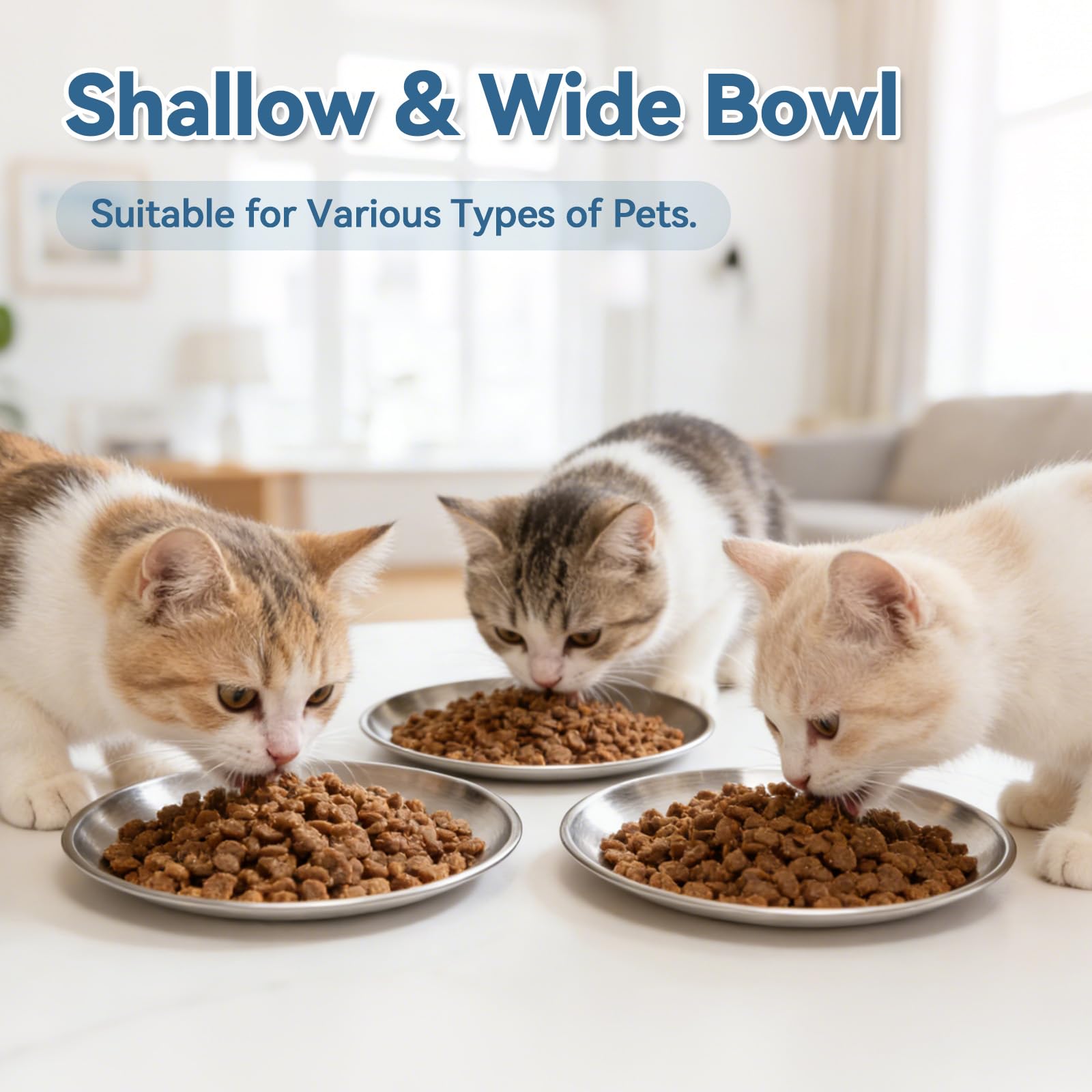 FlaggeZG stacked pack of eight bowls ready for multi-station feeding convenience
