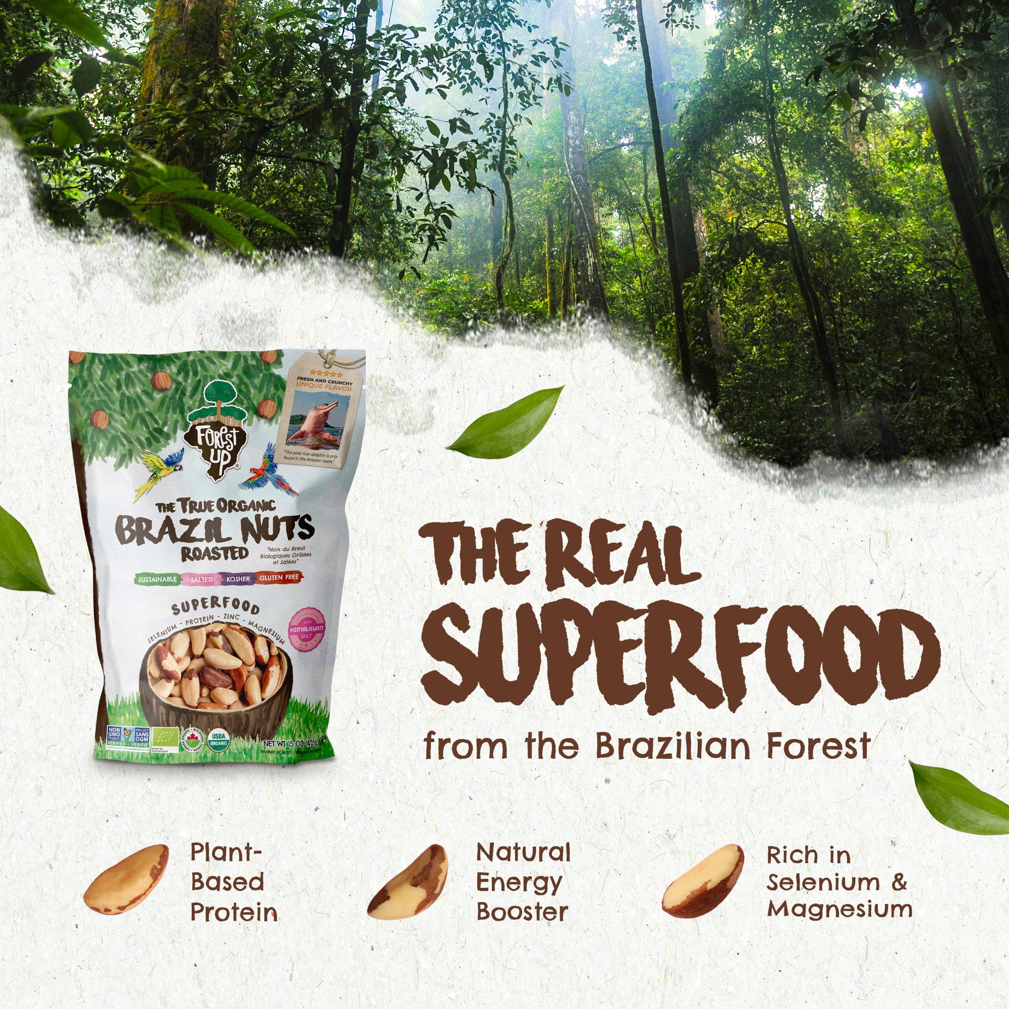 Floresta em Pé close-up of crunchy Brazil nut kernel highlighting texture and wholesome roast flavor