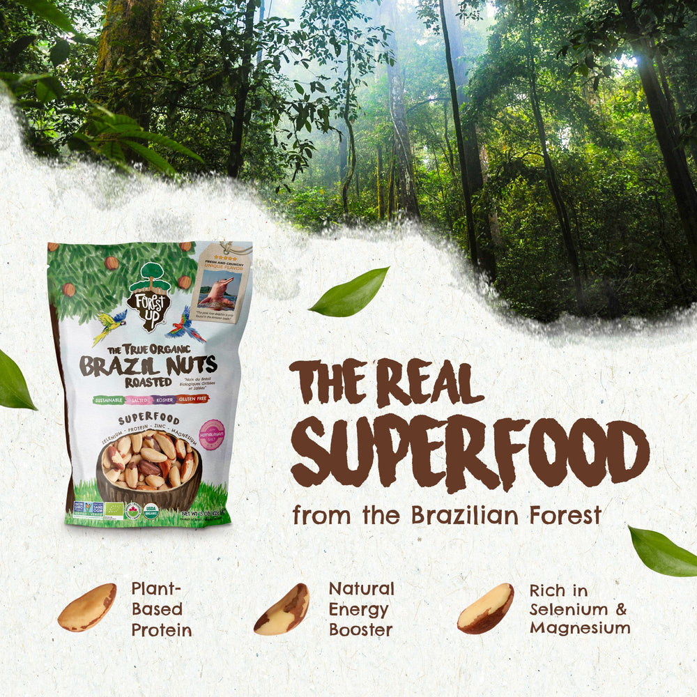 Floresta em Pé close-up of crunchy Brazil nut kernel highlighting texture and wholesome roast flavor