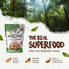 Floresta em Pé close-up of crunchy Brazil nut kernel highlighting texture and wholesome roast flavor