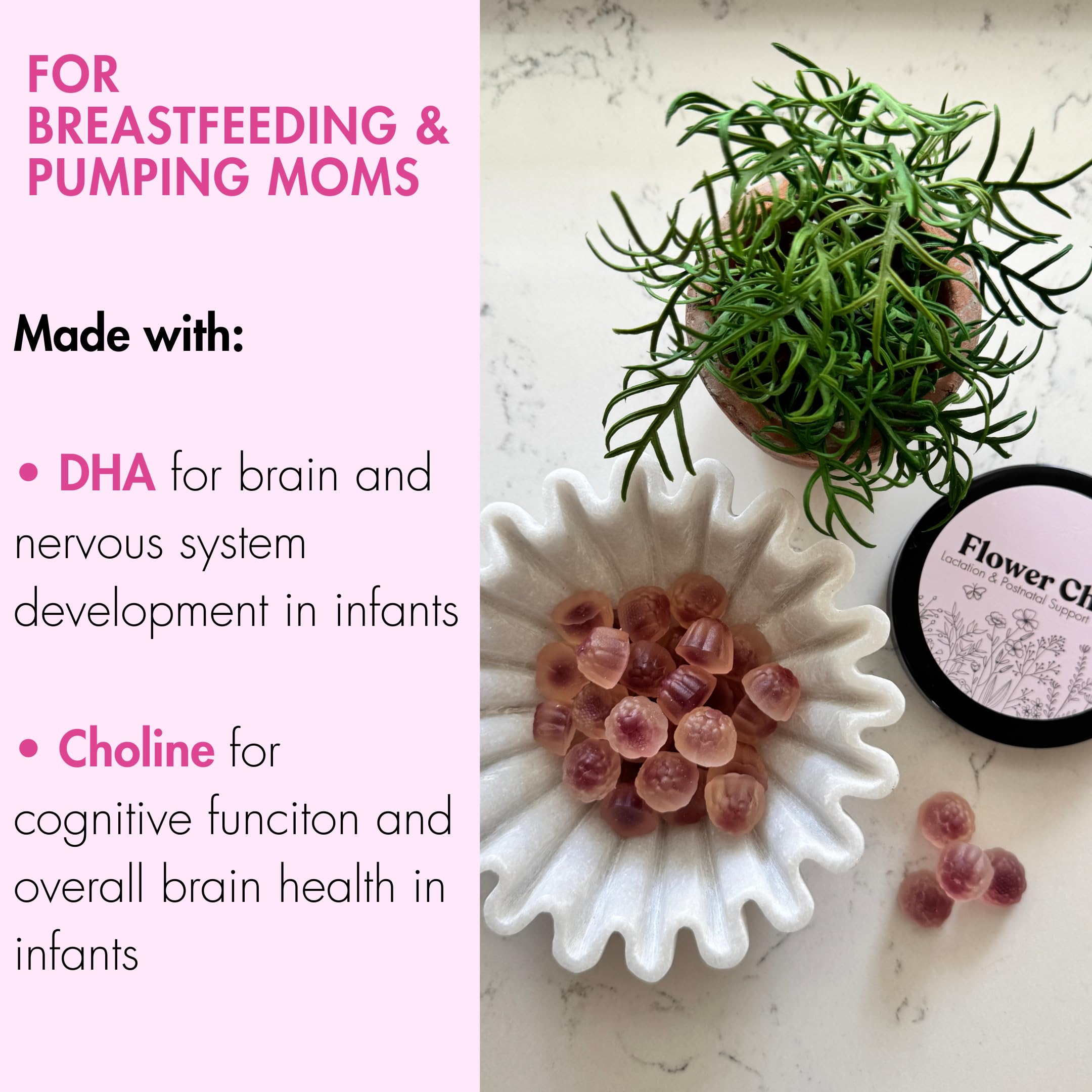 Flower Child algae oil drop representing vegan DHA for brain-supporting nutrients