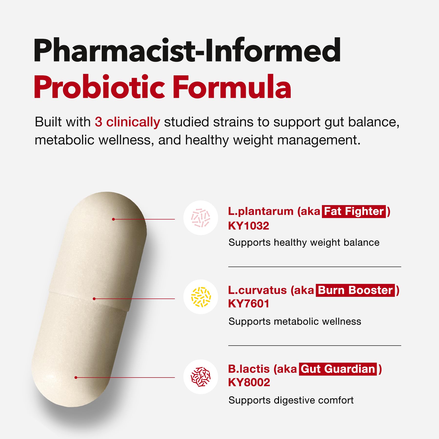 FOODOLOGY capsule next to coin showing scale and portability benefit