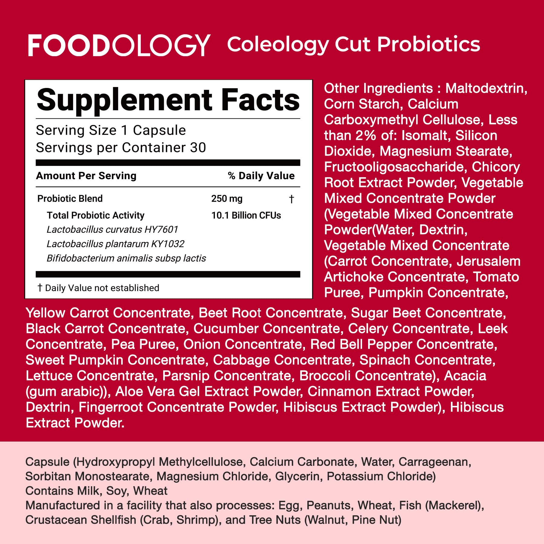 FOODOLOGY conceptual stomach illustration representing reduced bloating benefit