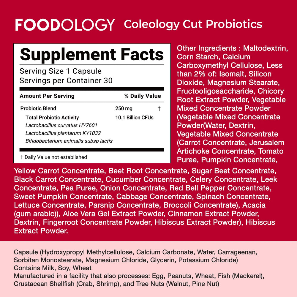 FOODOLOGY conceptual stomach illustration representing reduced bloating benefit
