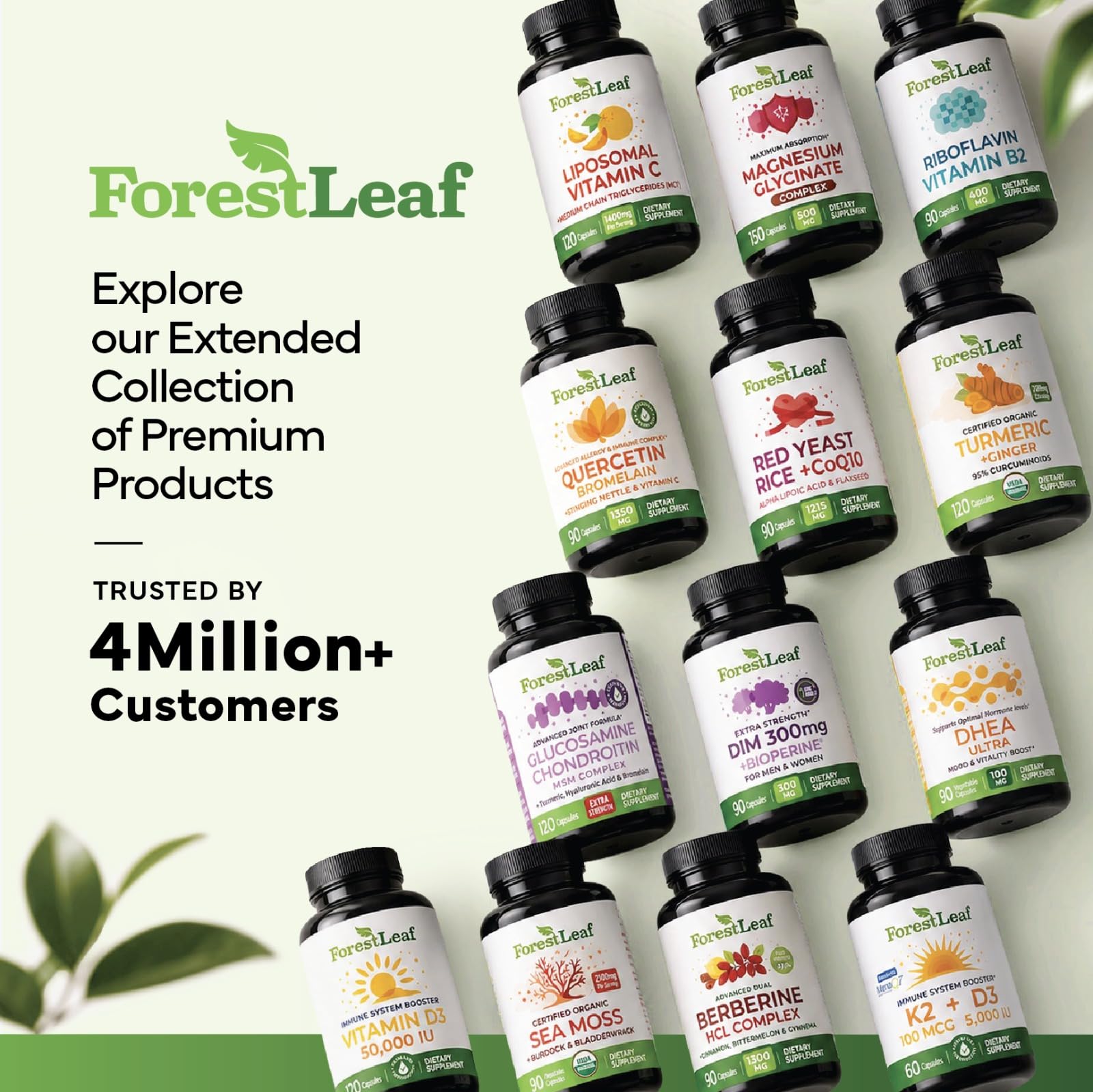 ForestLeaf botanicals like cinnamon and bitter melon showing natural ingredient sourcing benefit
