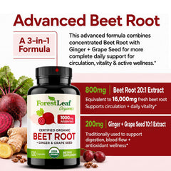ForestLeaf capsules close-up highlighting smooth vegetarian capsule and easy swallowing