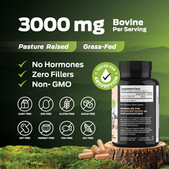 ForestLeaf freeze-dried liver powder texture detail illustrating preservation benefits