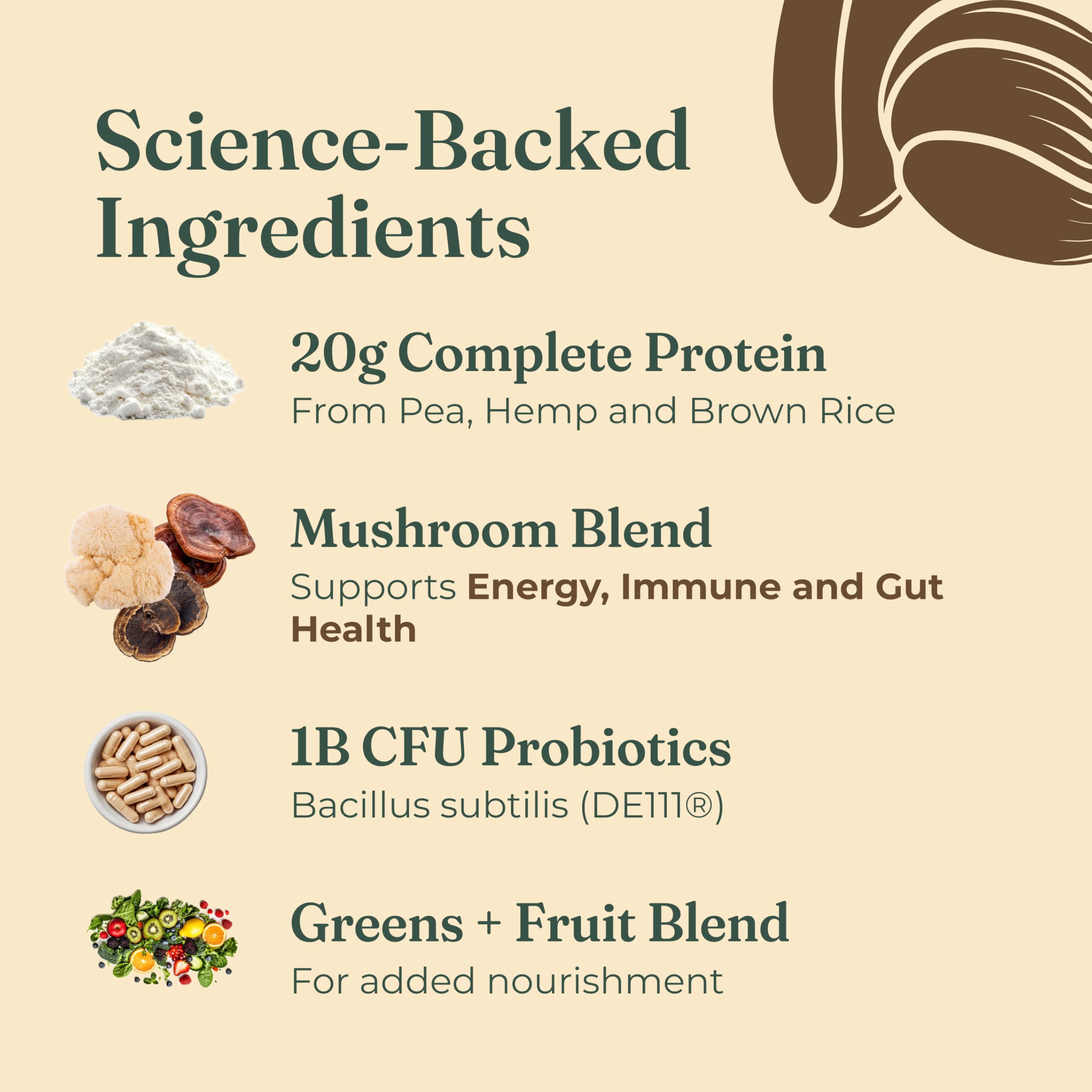 Four Sigmatic morning smoothie in lifestyle setting showing nourishing breakfast benefit