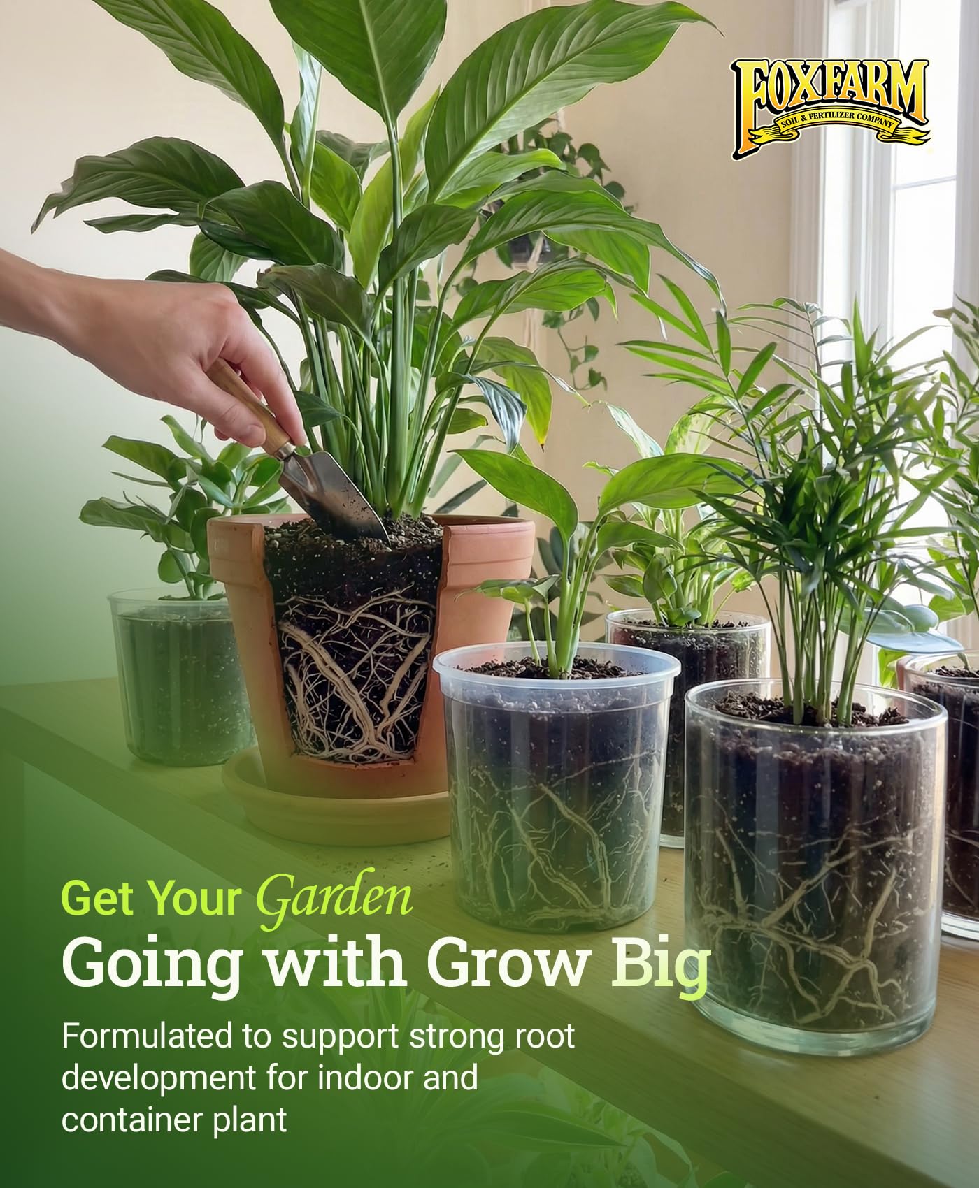 FoxFarm Grow Big in a garden setting feeding vegetables and roses